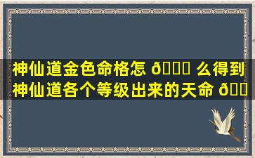 神仙道金色命格怎 🐝 么得到「神仙道各个等级出来的天命 🐠 命格」